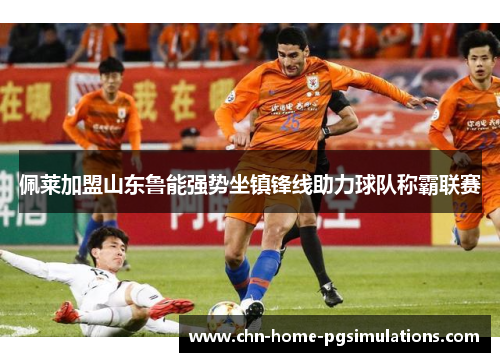 佩莱加盟山东鲁能强势坐镇锋线助力球队称霸联赛